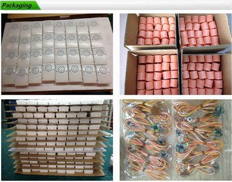 Image result for Pull String Voice Box