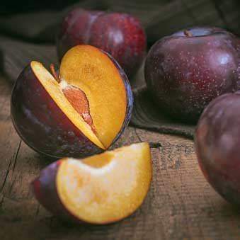 Plum Plant - Prunus Domestica, Aloo Bukhara Nursery Nisarga