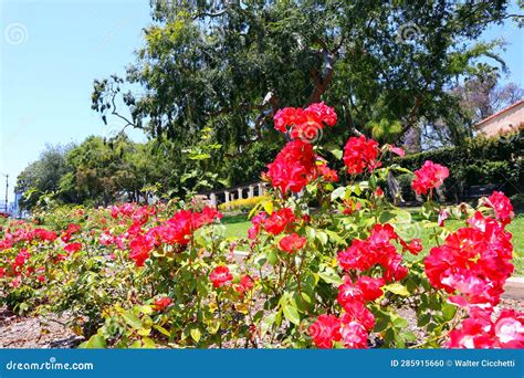 BEVERLY HILLS, California: Beverly Hills Rose Garden at Beverly Gardens ...