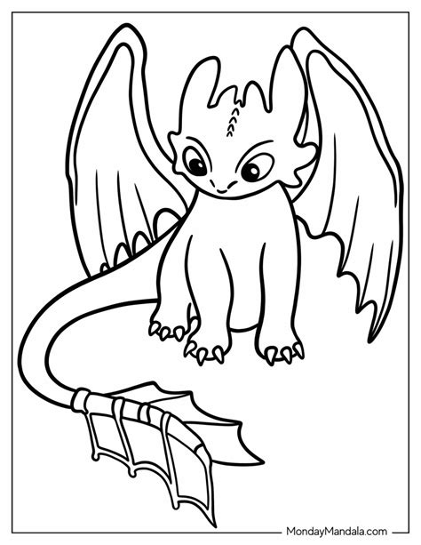Toothless Dragon Pictures To Color - Infoupdate.org