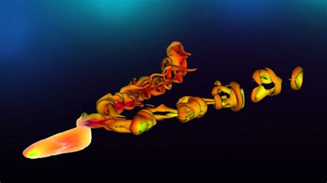 Fish Swim 的图像结果