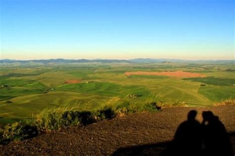 华盛顿州 帕卢斯 的图像结果