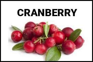 Cranberries could be a helpful tool in combating antibiotic resistance