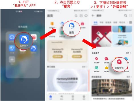 手机APP教程篇：顺丰速运app港澳台快递怎么寄_能源生活网