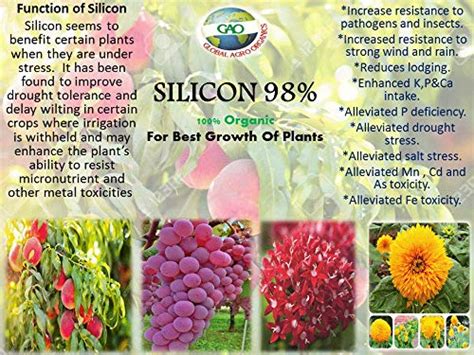 Organic Fertilizer Silicon 98%. for Increasing All Over Growth of ...