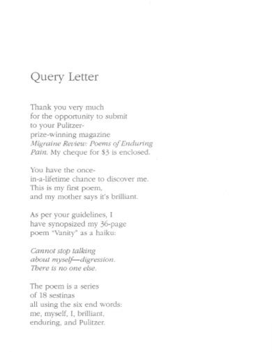 Image result for Query Letter Examples