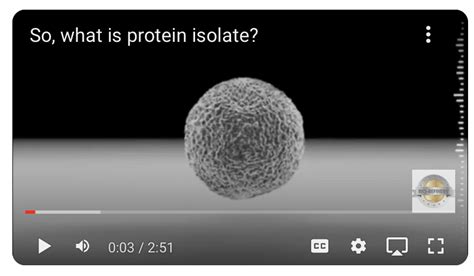 Image result for Protein Isolate
