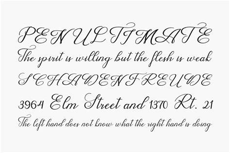 Wedding Script | Fonts Shmonts