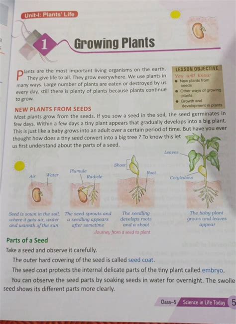 Unit-1: Plants'Life Growing Plants LESSON OBJECTIVE They give life to all..