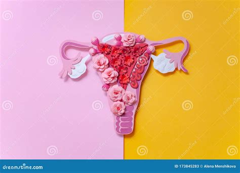 Concept Endometriosis. the Women`s Reproductive System, Gynecological Diseases Stock Image ...
