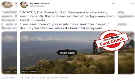 Fact check: Bird in viral video is not `Jatayu' from Ramayana, but ...
