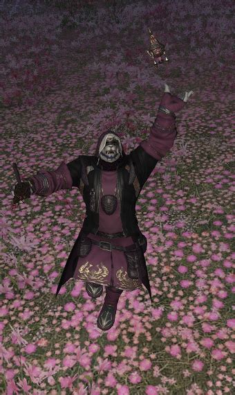 Image result for Shadowcraft Using Mage