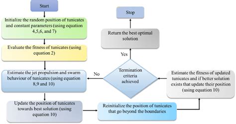 Image result for Tunicate Swarm Algorithm