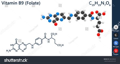 Image result for Folate Molecular Formula