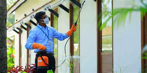 Contact Us - Amicare Pest Control Services | Expert Pest Management ...