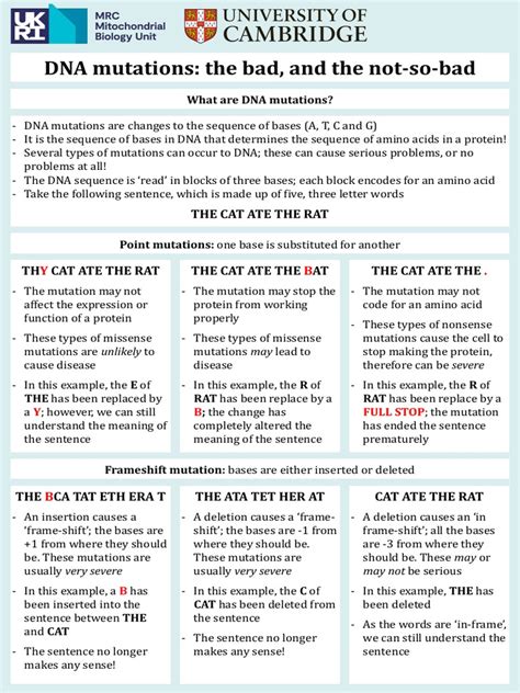 Crash Course DNA Mutations 的图像结果