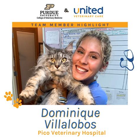 United Veterinary Care on LinkedIn: #uvc #uvcfamily #empower #support # ...