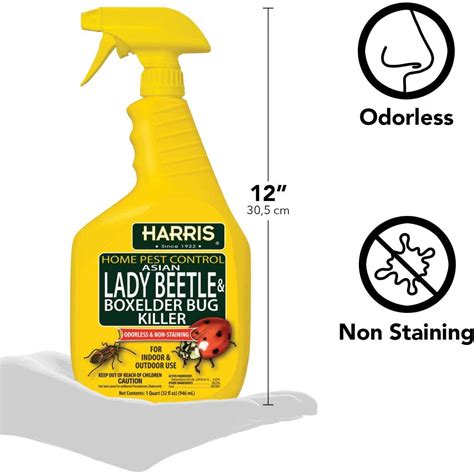 Harris Asian Lady Beetle & Box Elder Bug Killer - Home & Office ...