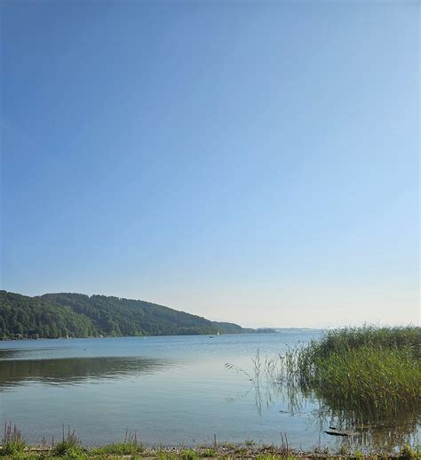 SEEHOTEL WINKLER (Neumarkt am Wallersee) - Guesthouse Reviews & Photos ...