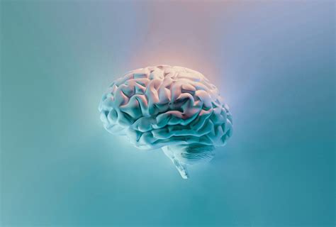 Do You Have an Addictive Brain? - Northern Healthcare