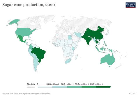 Sugarcane quick facts | Earth@Home: Evolution