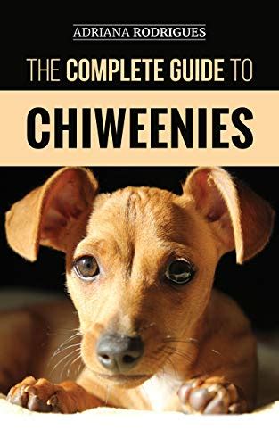 The Complete Guide to Chiweenies: Finding, Training, Caring for and ...