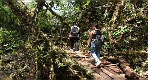 Incredibly offbeat destinations in India for March | Times of India Travel