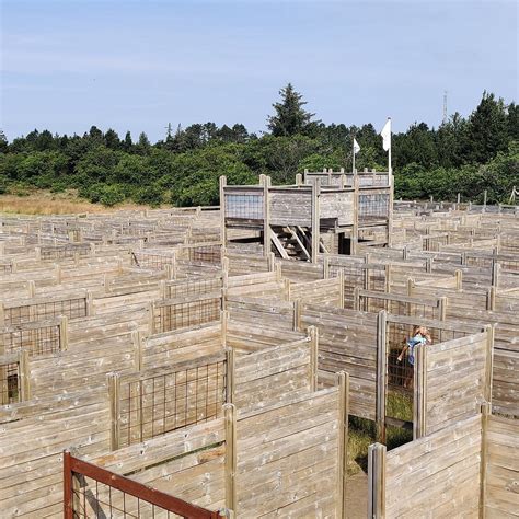 RØMØ LEGE- OG LABYRINTPARK (2026) All You Need to Know BEFORE You Go ...