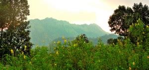 Ponmudi Scenic View - Just Kerala