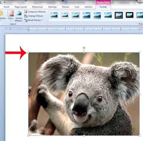 Image result for Resize Image with Python in Word