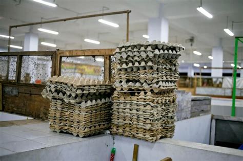 Image result for Insert Objects In-Store