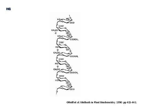 Pectin Wen Dong 10152010 Structure Function Biosynthesis Pectin