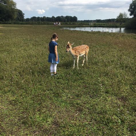 THE BEST Places to Visit in Earsham (2025) - Must-See Attractions