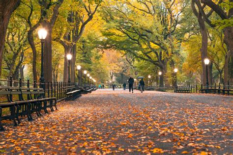 NYC Leaf Peeping and Fall Foliage in 2020 - New York Family