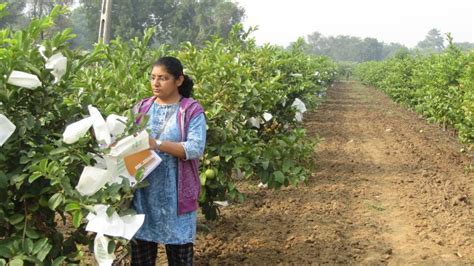 Bird management technology | Anand Agricultural University, Anand