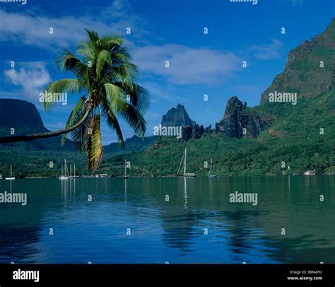 Moorea Island, Tahiti Stock Photo - Alamy