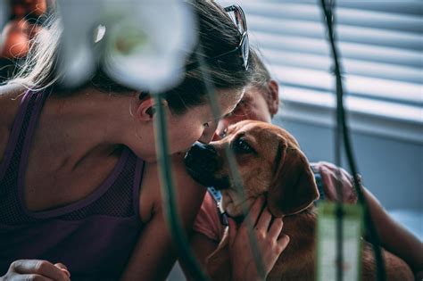 Photo of Woman Kissing a Dog · Free Stock Photo