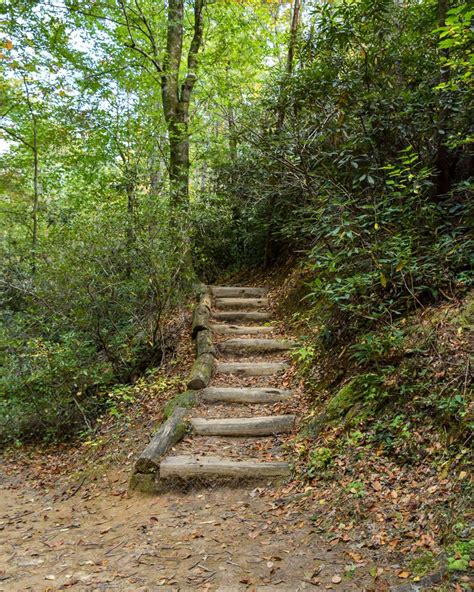 Wildcat Branch Falls (Wildcat Wayside Falls) - Steph Purk