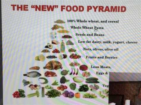 New Food Pyramid | Food pyramid, New recipes, Pyramids