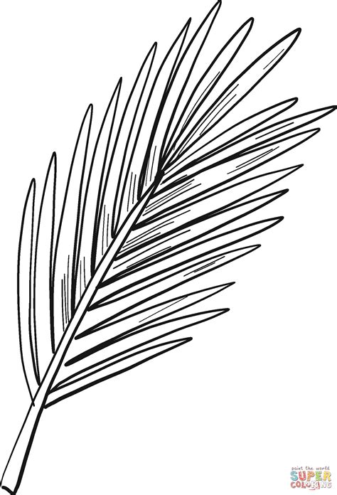 Palm Branch Coloring Pages