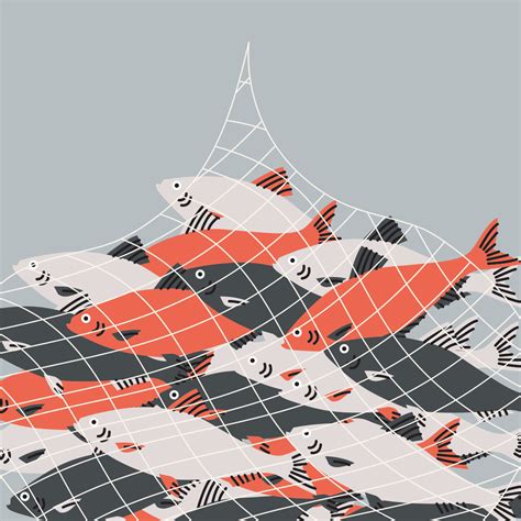 Image result for JacPLUS Fish Graph