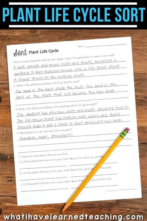 Kular Science Project Sort 的图像结果