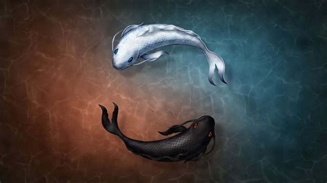 Download Yin Yang 4K Black And White Catfish Wallpaper | Wallpapers.com - wallpaper of yin and yang