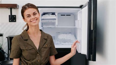 Image result for Fridge Problems
