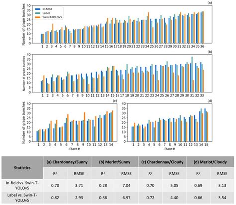 Swin-Transformer-YOLOv5 for Real-Time Wine Grape Bunch Detection