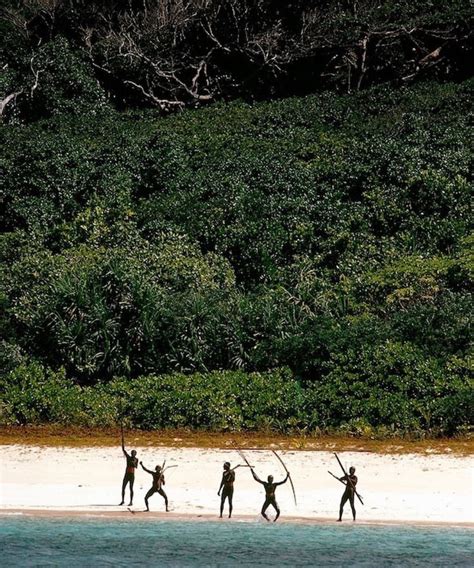 Primitive Island 的图像结果