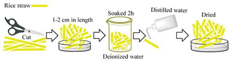 Enhanced Sorption for the Oil Spills by SDS-Modified Rice Straw