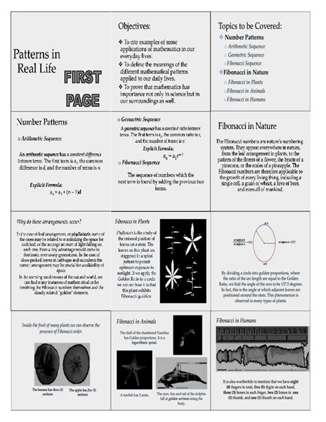 Image result for Real Life Patterns