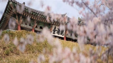 Gangneung Starlight Tour from Seoul - Klook India