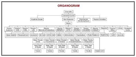 BRAOU - Dr. B.R. Ambedkar University